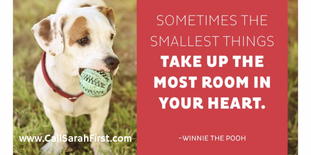 Smallest Things Quote