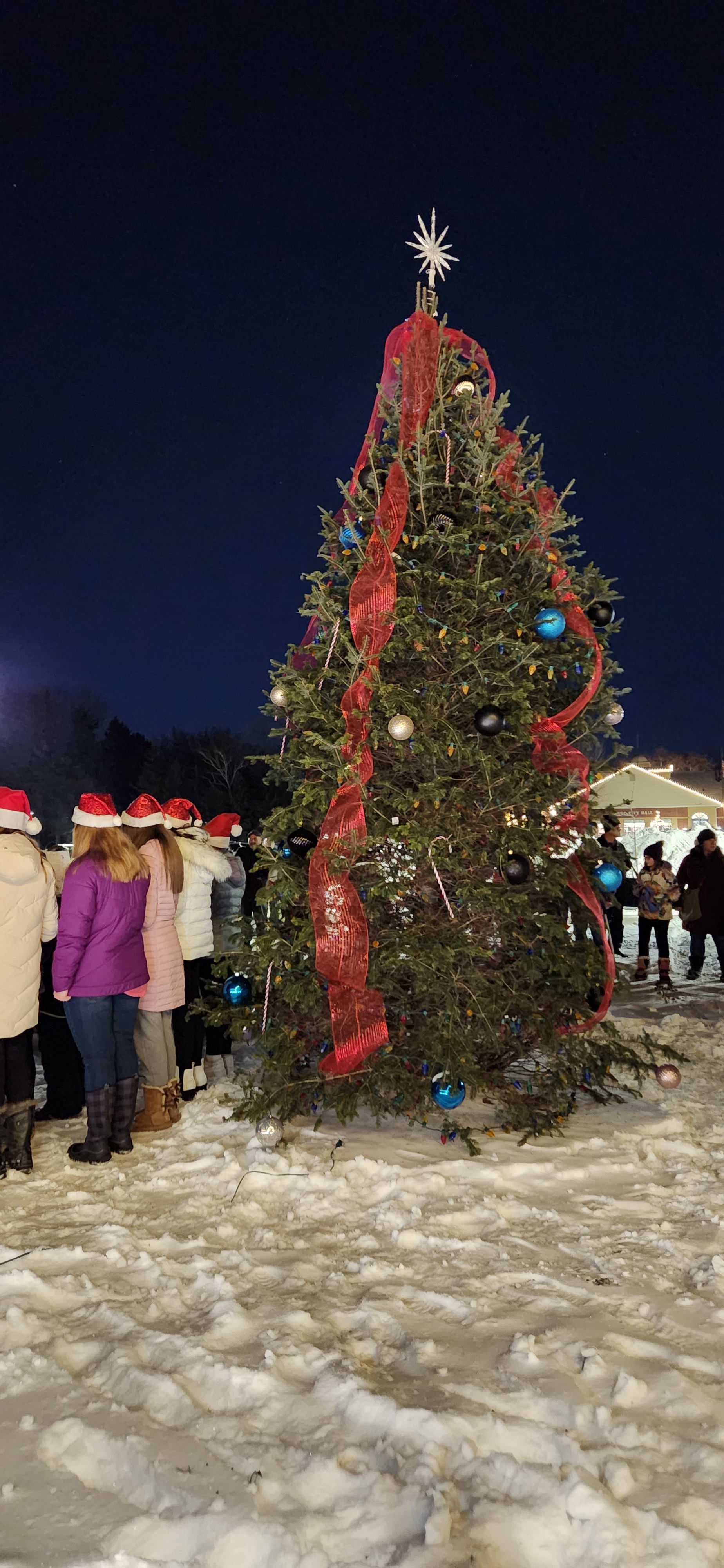 TreeLighting_HugoMN_2022
