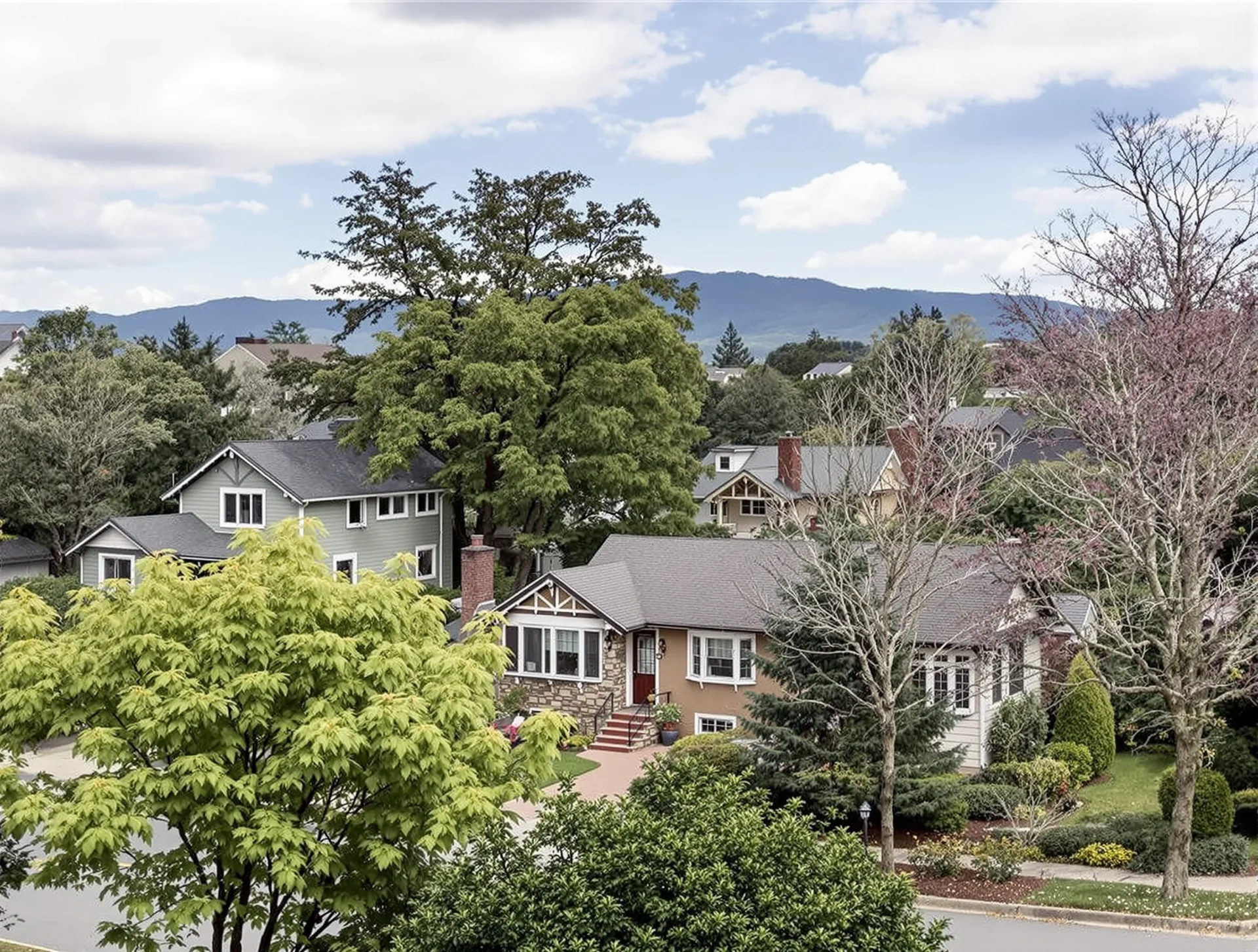 Leafy neighborhood street with craftsman homes in Asheville, North Carolina, USA
