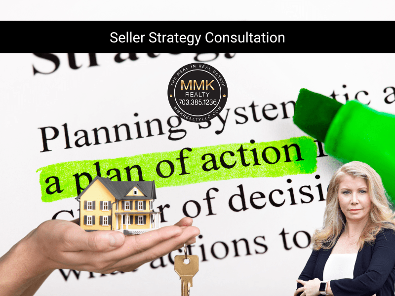 Seller Strategy Consultation