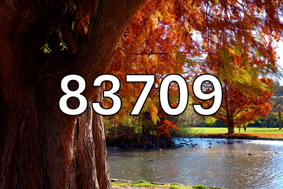 Boise, Idaho 83709 Homes For Sale