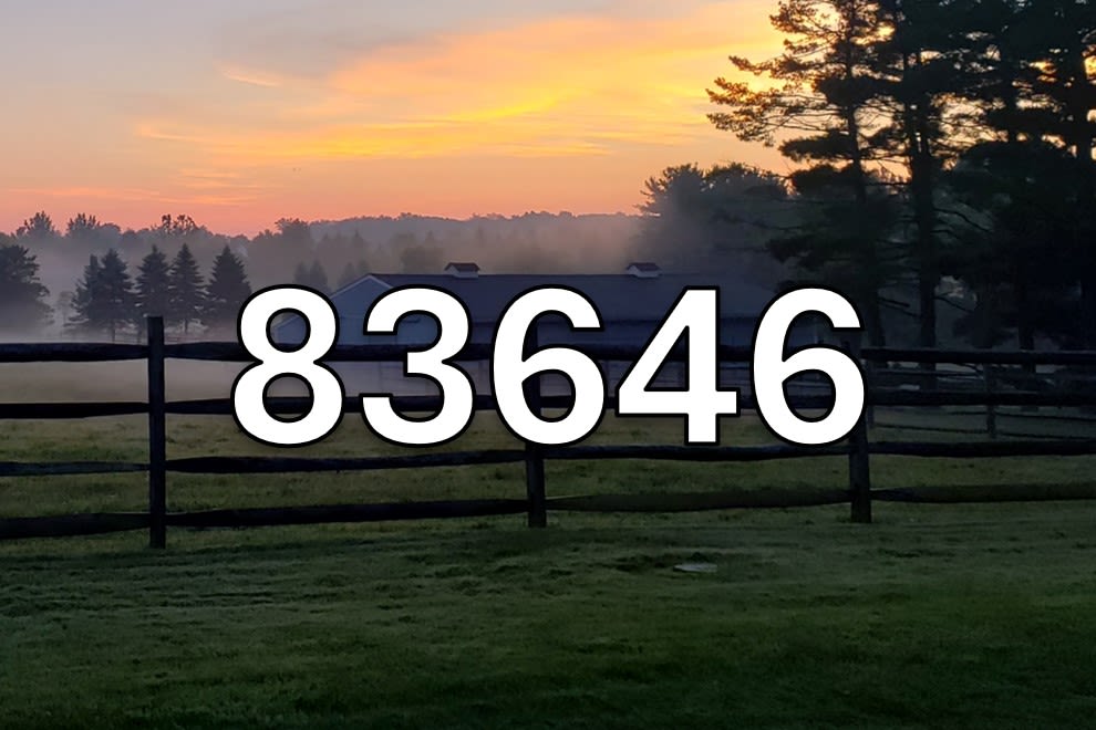 Meridian, Idaho 83646 Homes For Sale