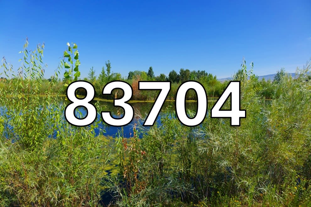 Boise, Idaho 83704 Homes For Sale