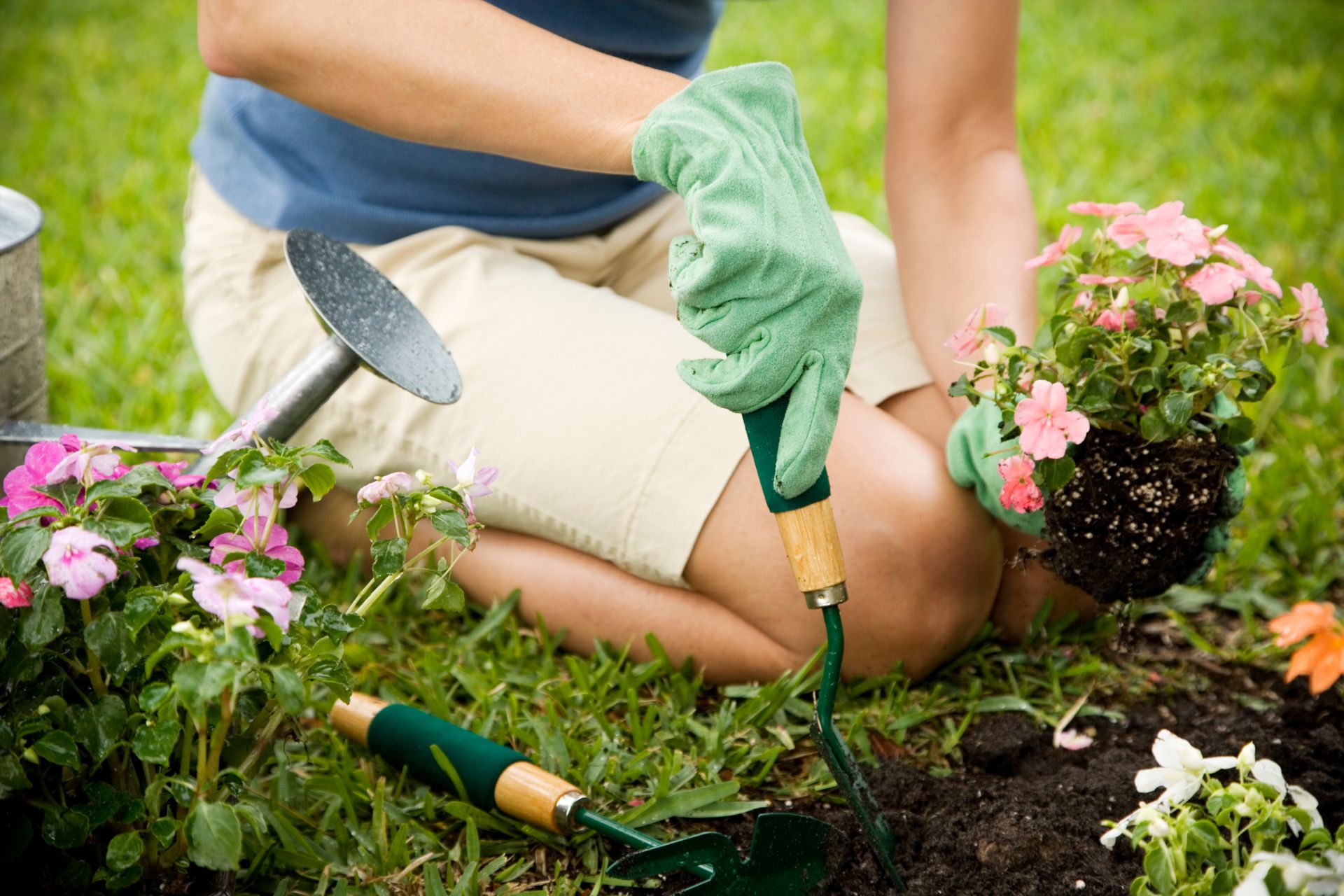 Essential Midwest Planting Guide for Each Season Essential Midwest Planting Guide for Each Season