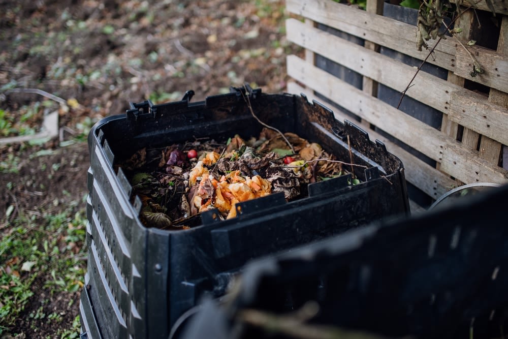 Eco-Friendly Practices to Reduce Your Carbon Footprint Eco-Friendly Practices to Reduce Your Carbon Footprint