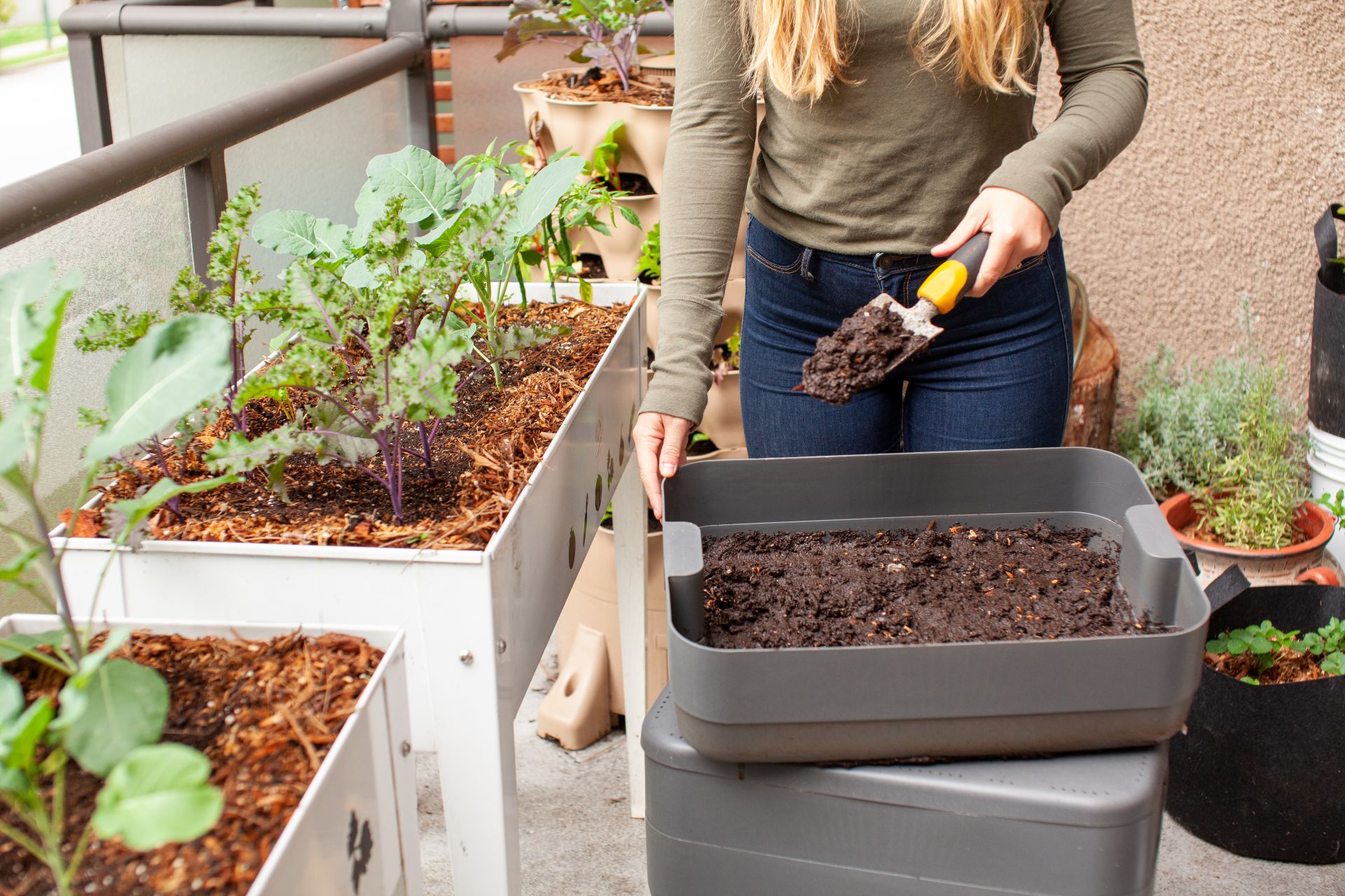 Mastering Soil Management for a Thriving Midwest Garden Mastering Soil Management for a Thriving Midwest Garden
