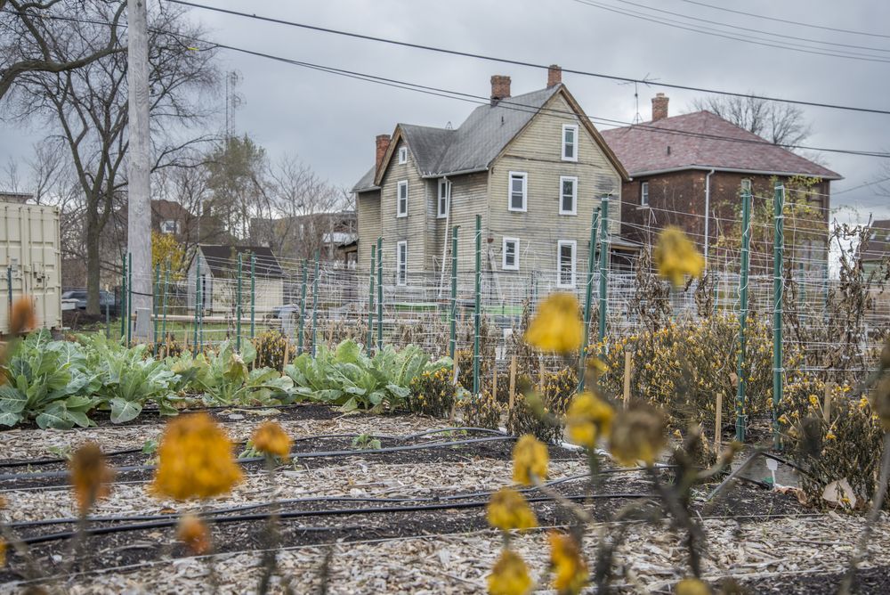 The Community Garden Movement The Community Garden Movement