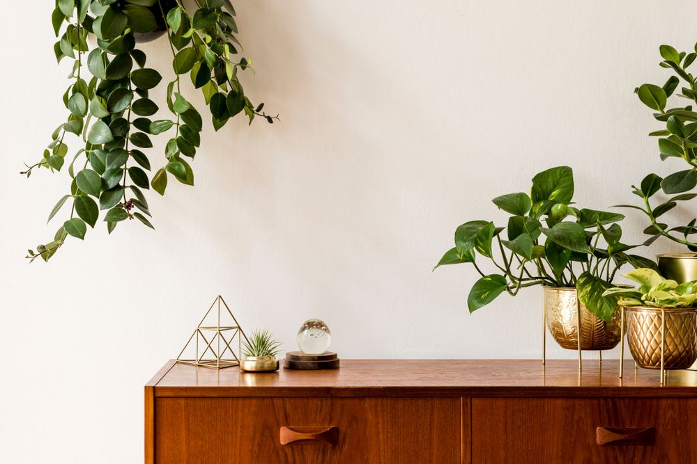 Incorporate Natural Elements Incorporate Natural Elements