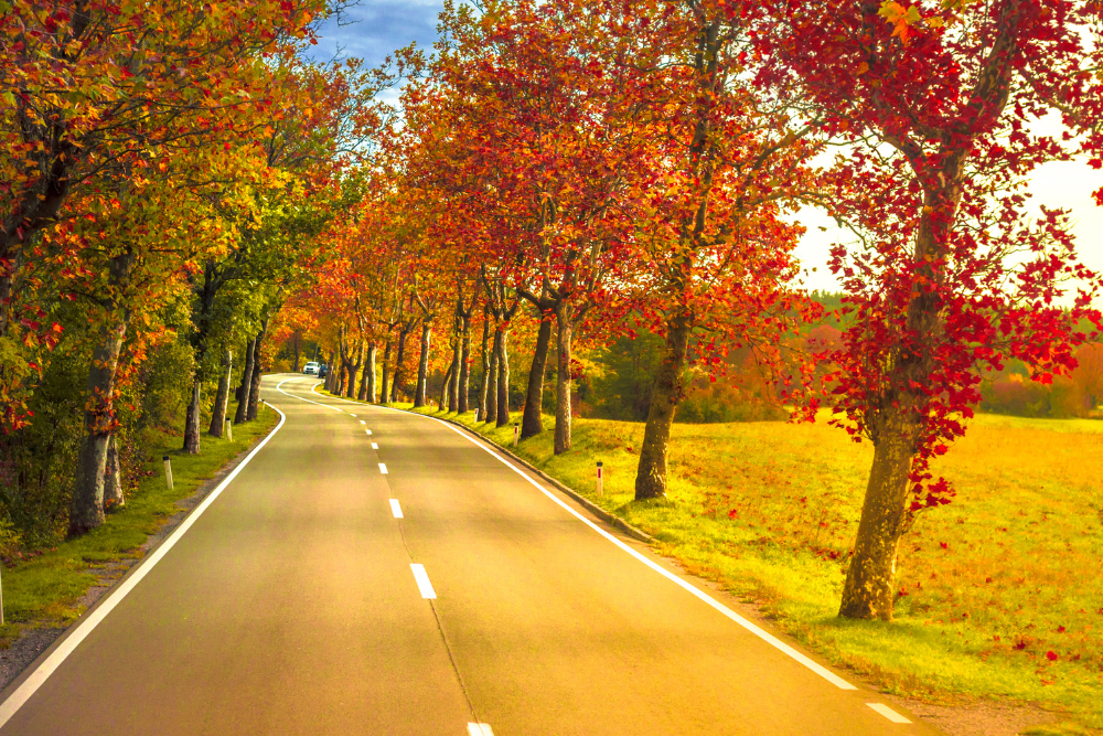 fall-country-road-farmhouse fall country road farmhouse