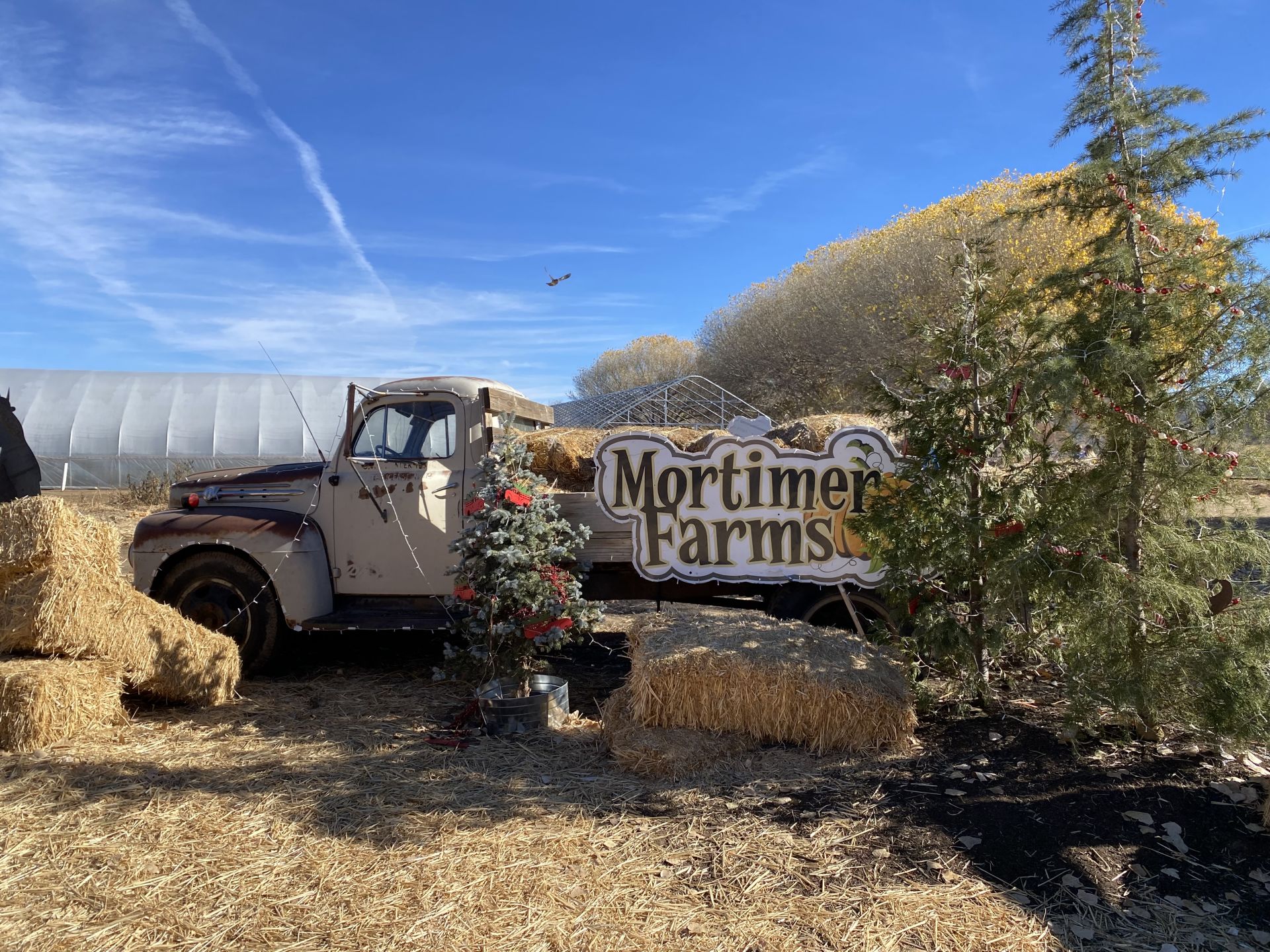Mortimer Farms in Dewey, AZ Mortimer Farms in Dewey, AZ