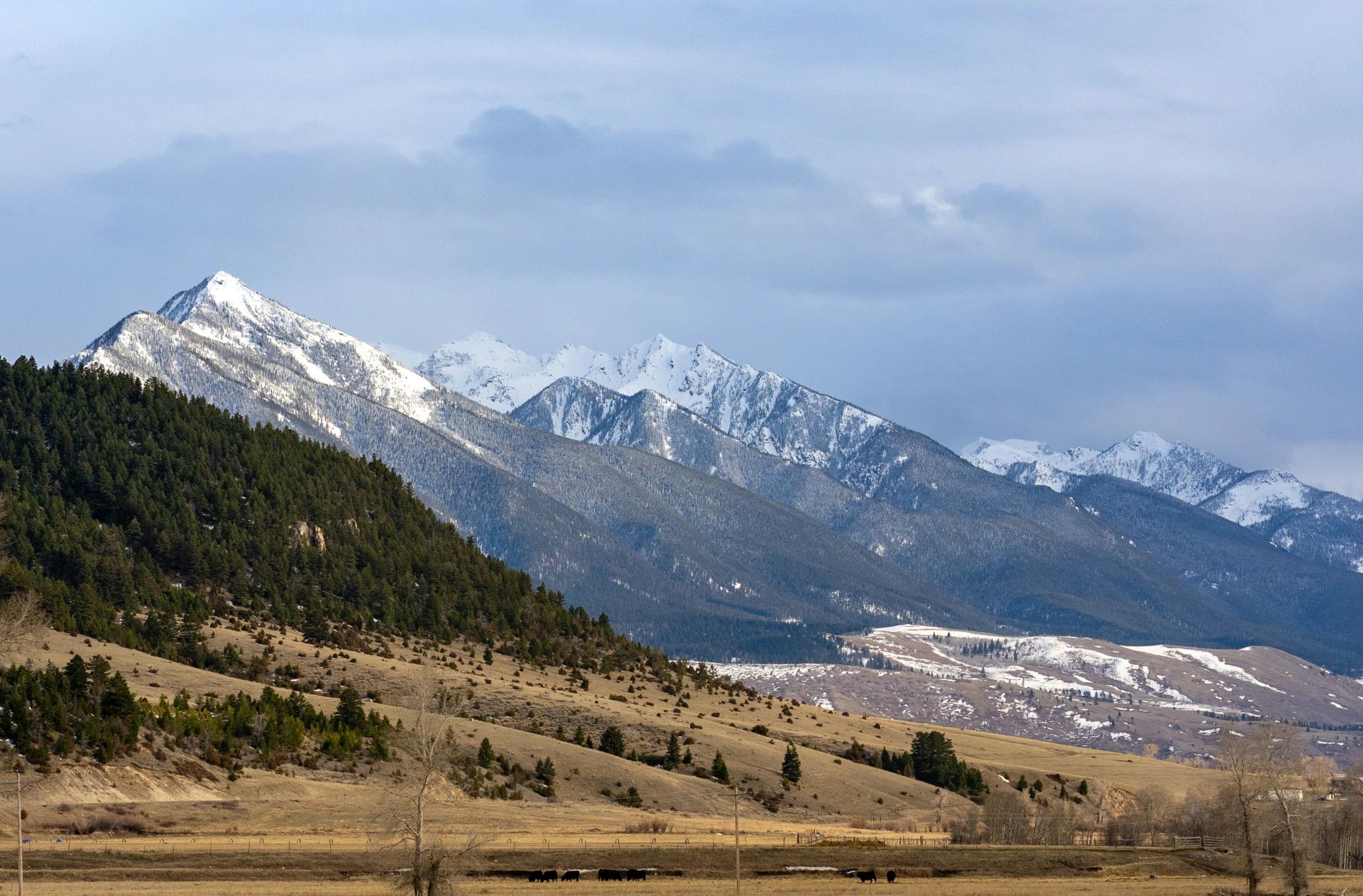 Paradise Valley
