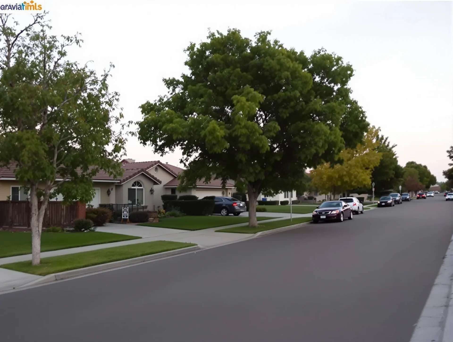 Quiet residential street with single-family homes and trees near Shafter, California