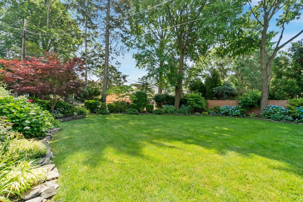 home-landscape-with-trees-grass home landscape with trees grass