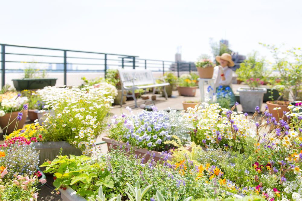 urban-farming urban farming