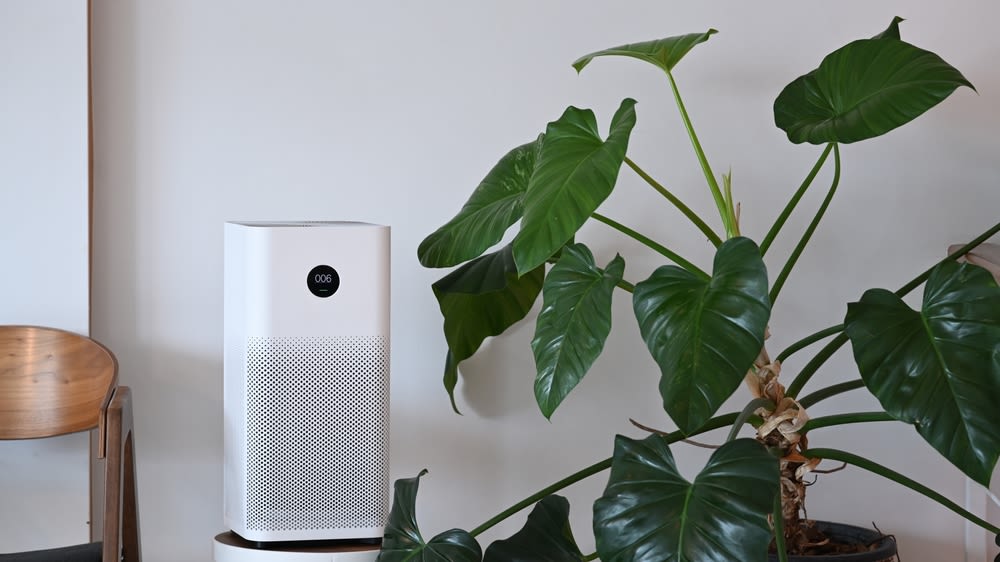 Top-ways-to-Improve-Indoor-Air Top Ways to Improve Indoor Air