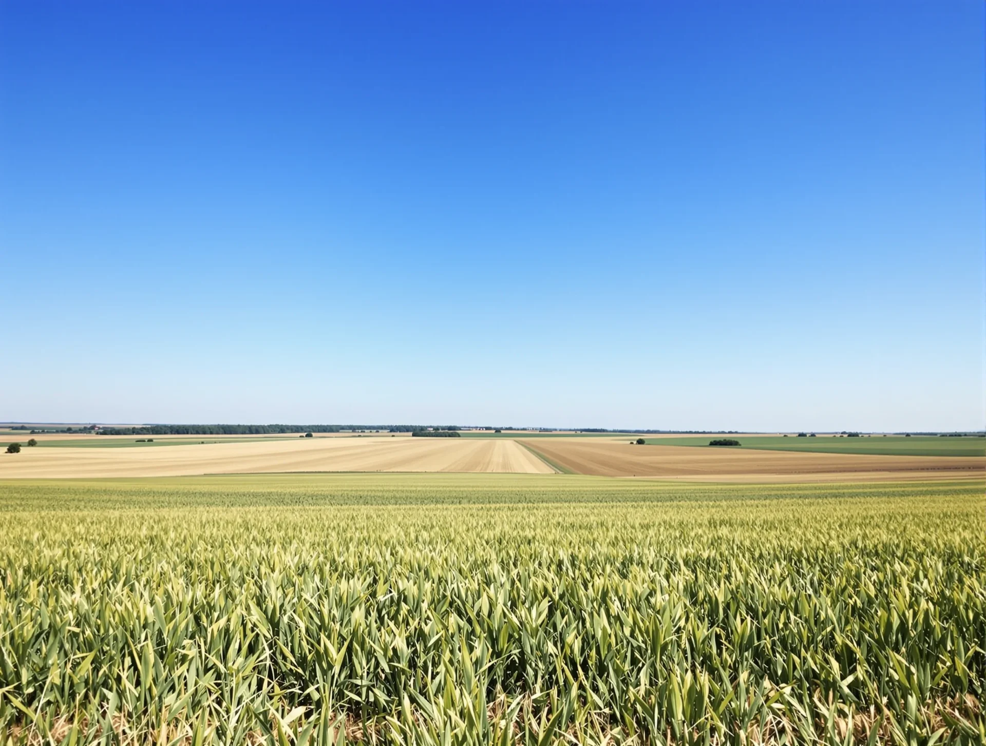 Countryside near Dumas