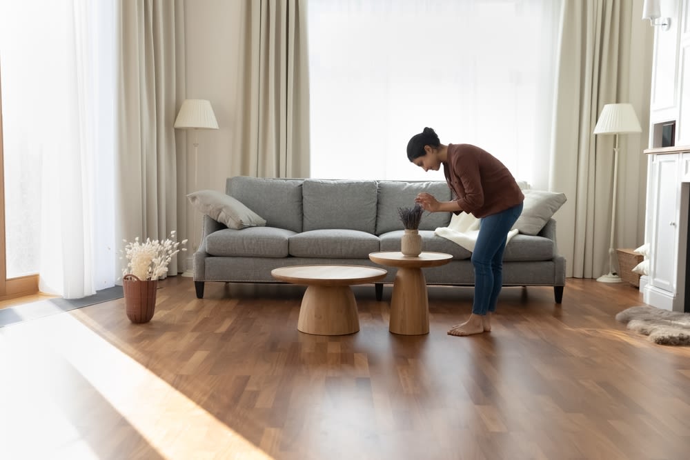 Minimalistic-Living-Room Minimalistic Living Room