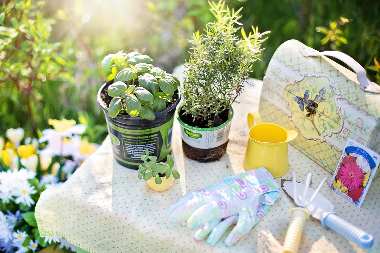 Gina Sharma Team Garden