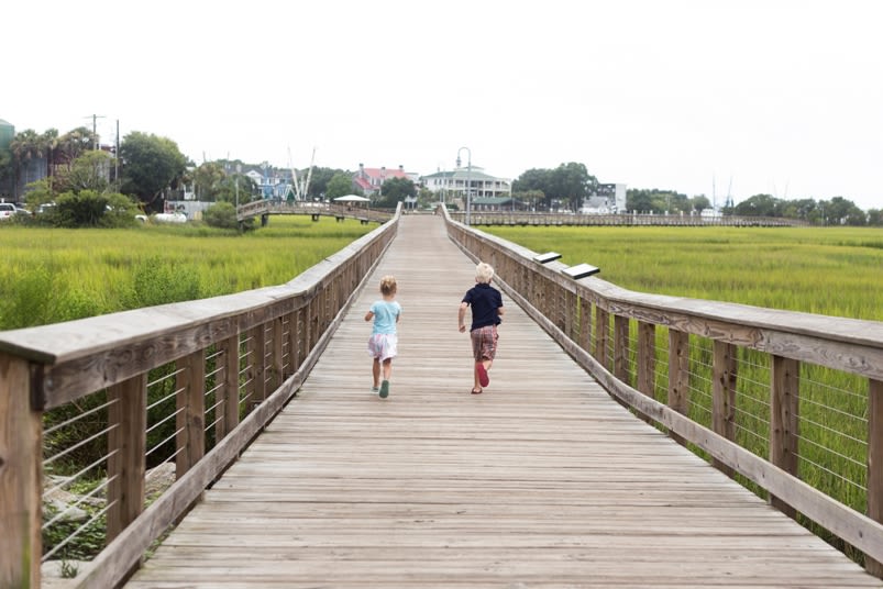 Old Village Pitt Street Bridge