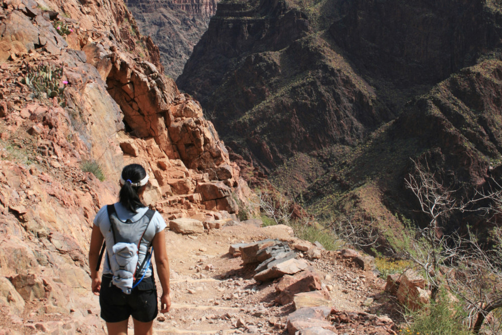 Arizona's Grand Canyon