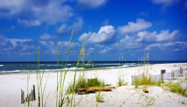 Alabama Gulf Coast