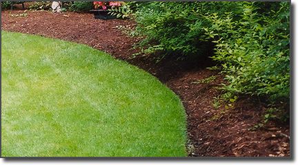 clean flower beds