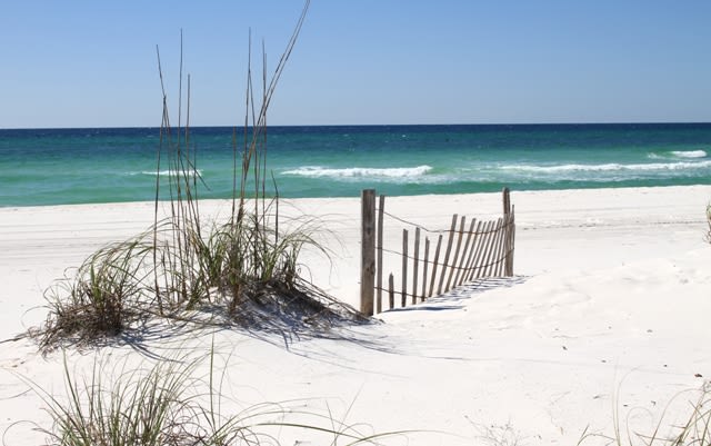 Gulf Shores Beach