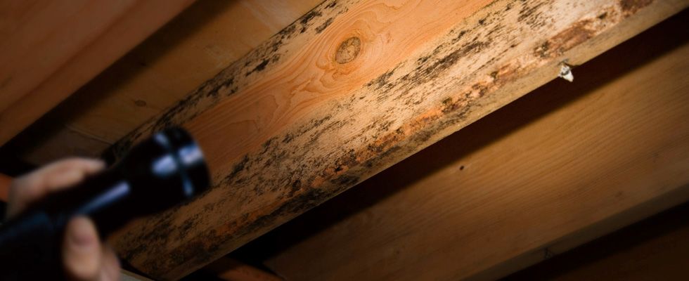 Home Inspection