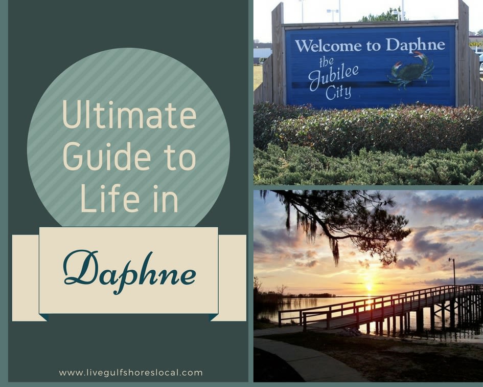 Daphne Ultimate Guide