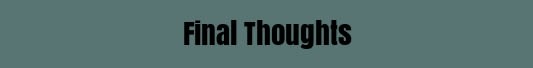 Final Thoughts