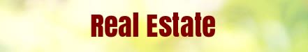 Spring Banner real estate