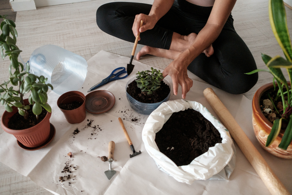 eco-friendly garden