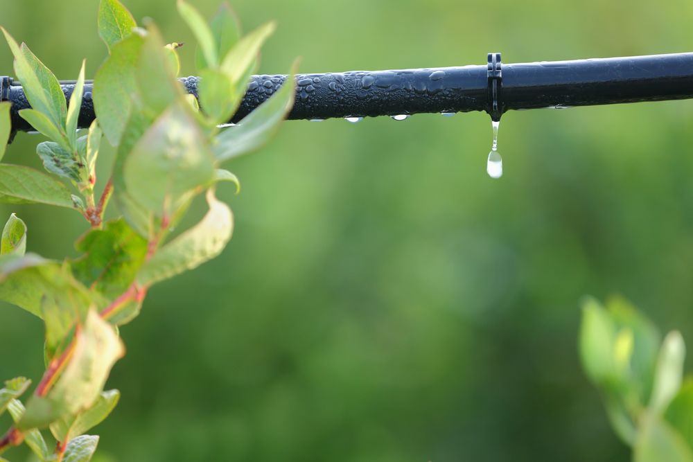 drip-irrigation-systems drip irrigation systems