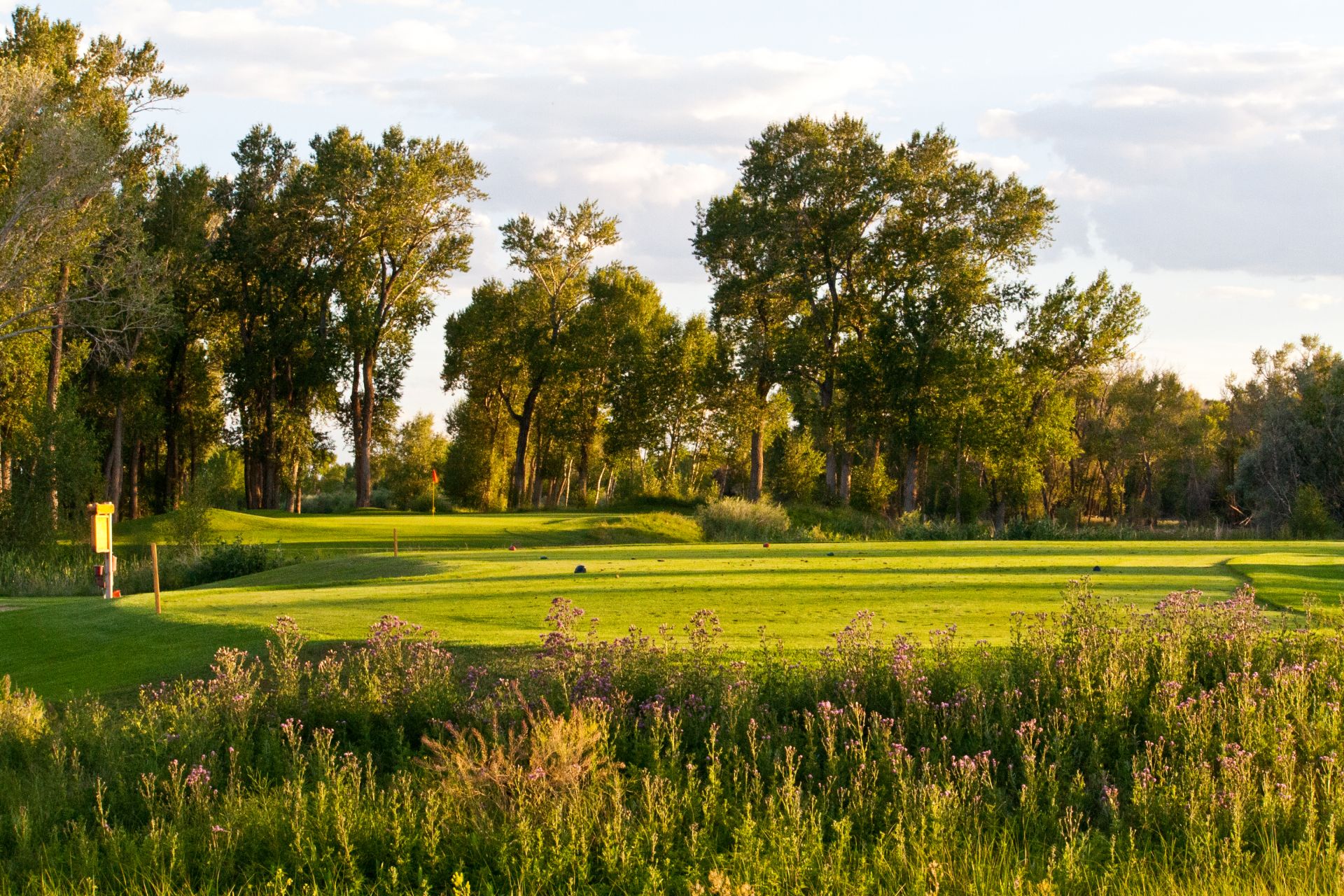 Cattails Golf Course