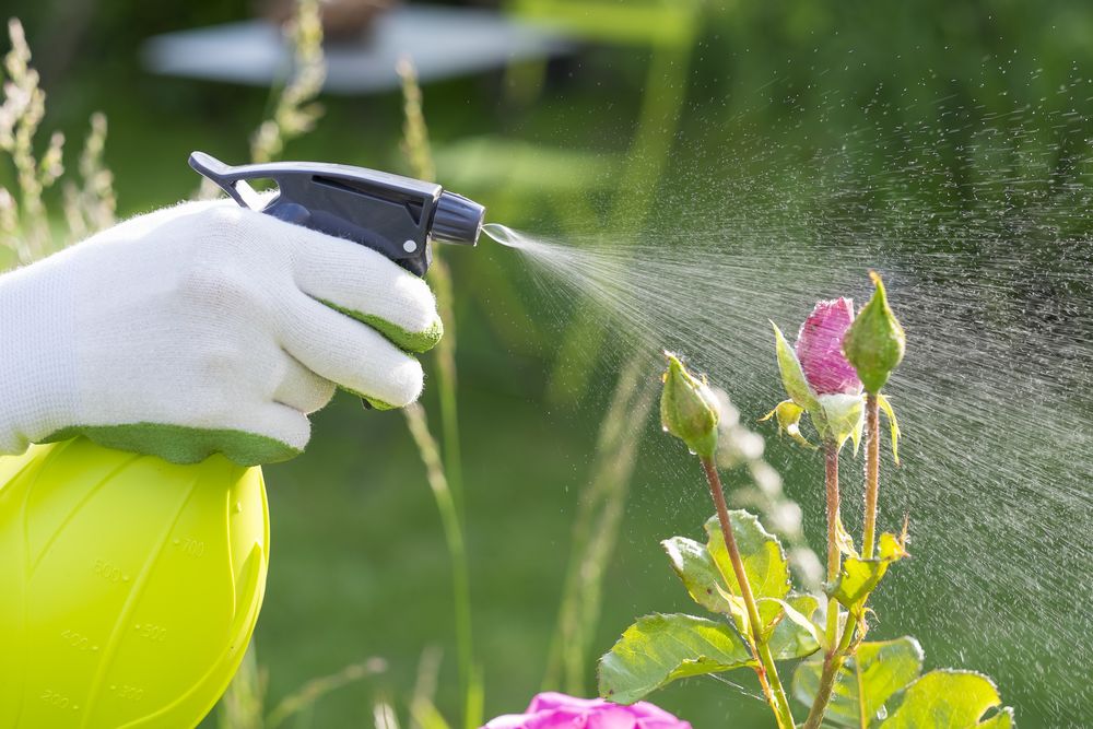 Pest-control-methods Pest control methods