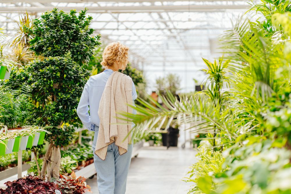 Selecting-right-plants-for-your-garden Selecting right plants for your garden