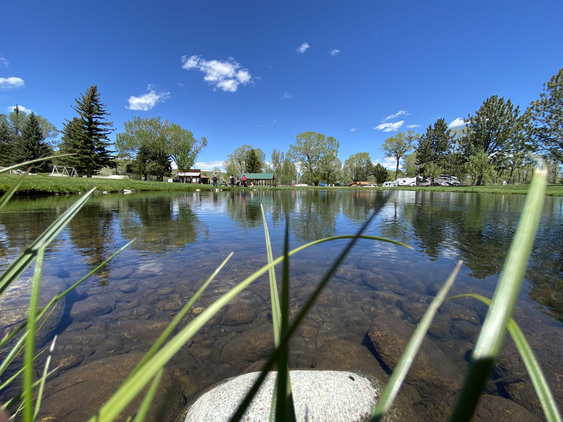 Spring fed Trout Ponds