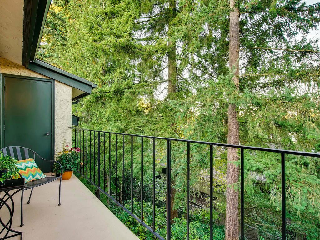 Balcony in the trees