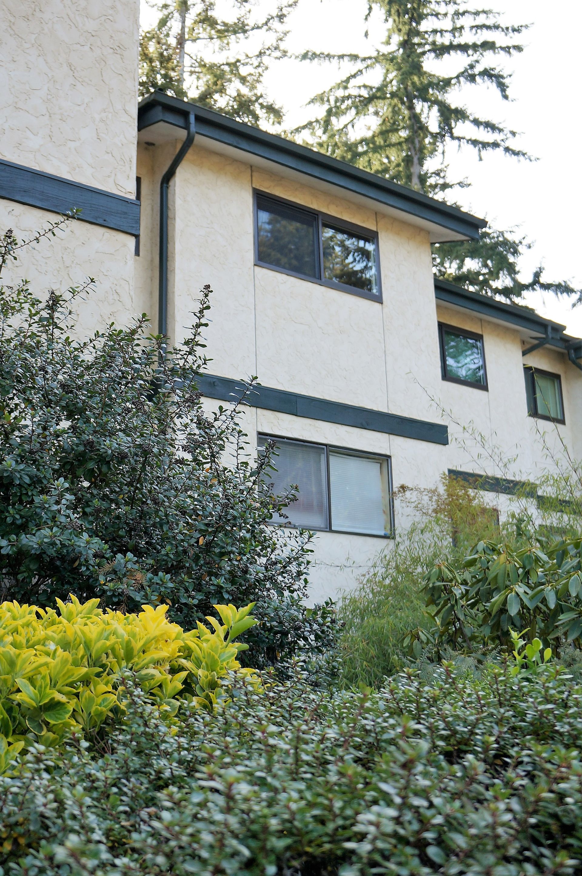 Edmonds Village Condo