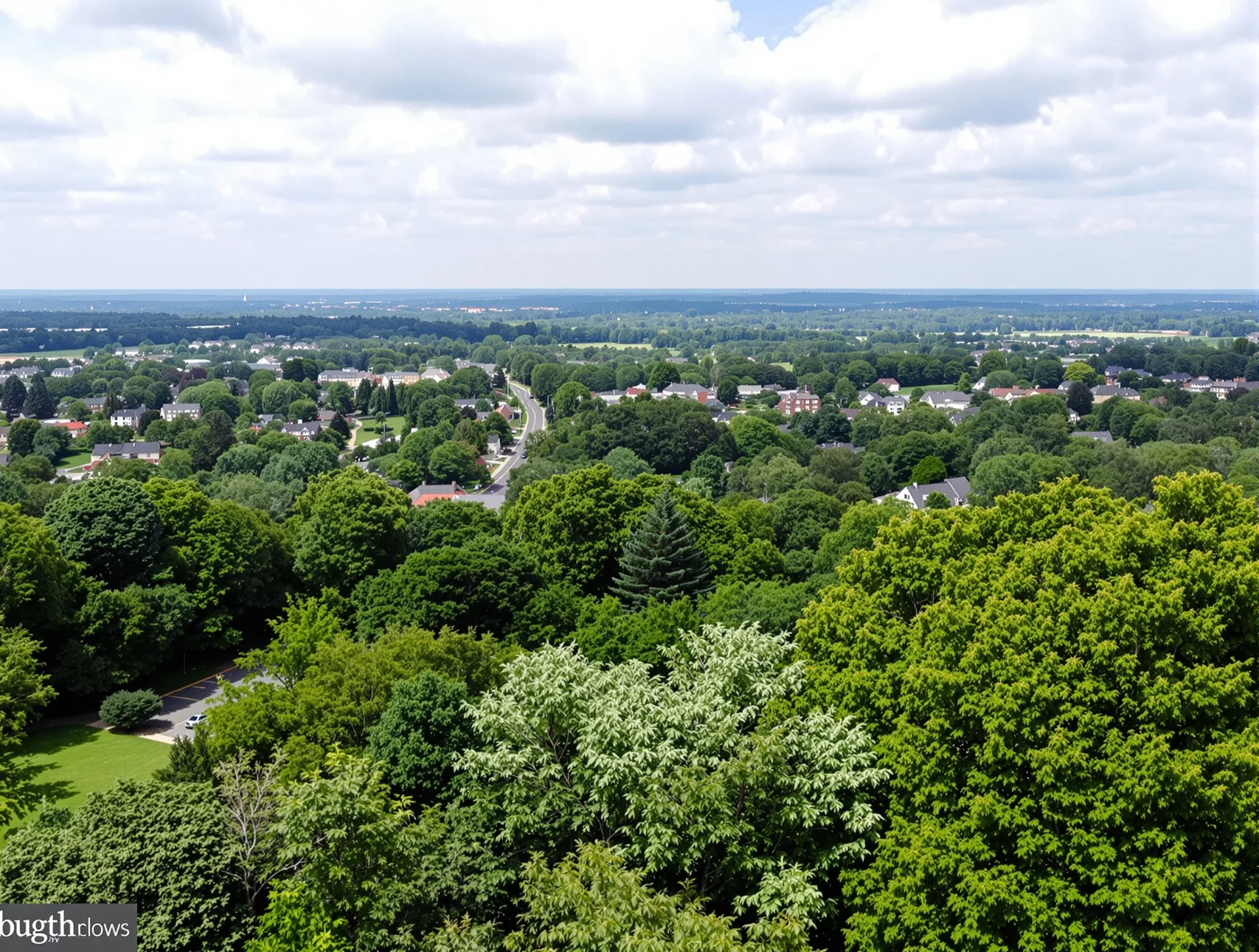 Lush greenery in Columbia