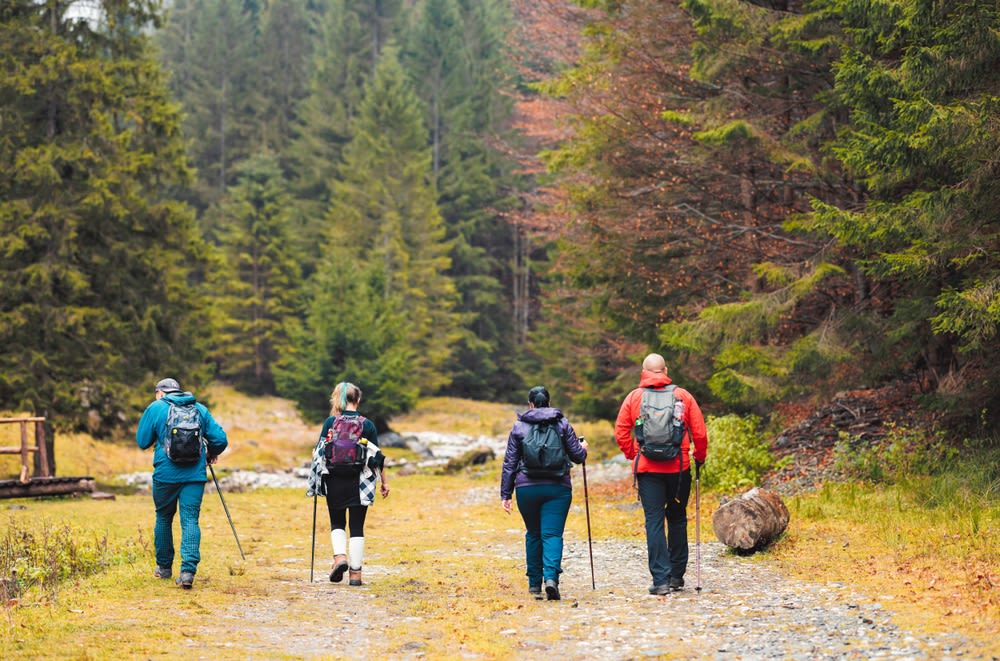People-going-on-a-hike People going on a hike