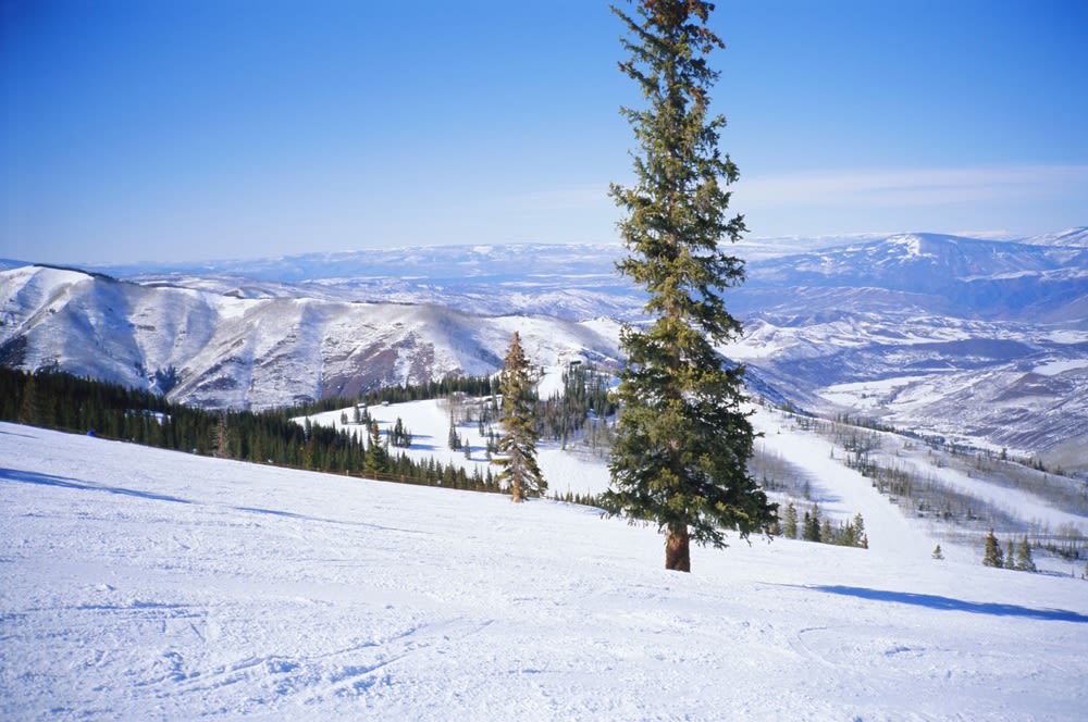 Aspen-Horizons Aspen Horizons