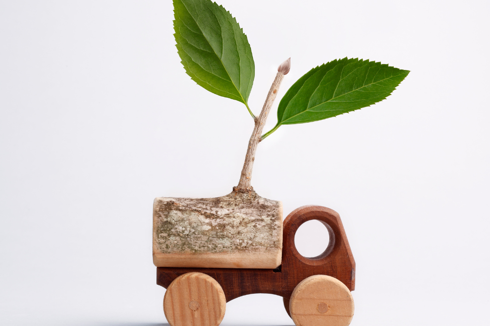 Eco-Friendly-Accommodations Eco-Friendly Accommodations