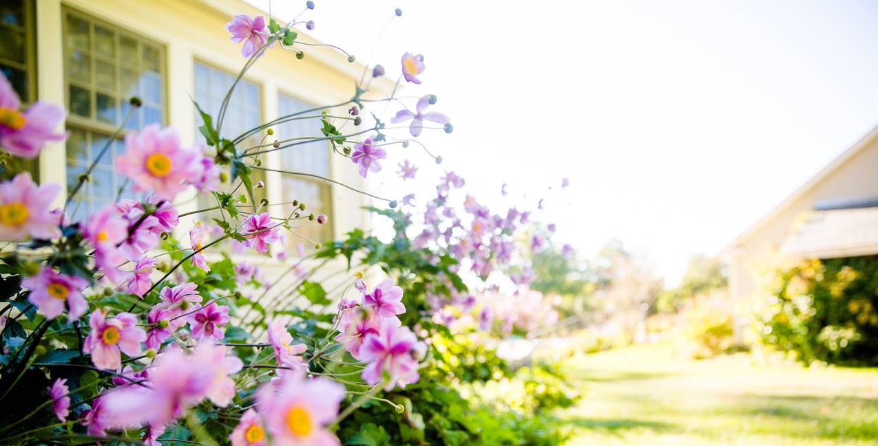 List Your Home For Sell