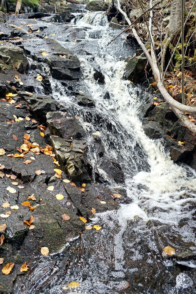 Lake and trail landscape in Victoria, Minnesota