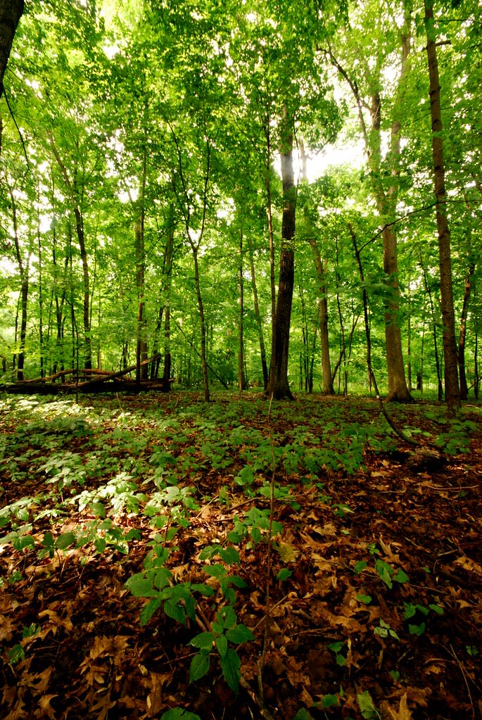 Park and trail setting near Malone, Wisconsin