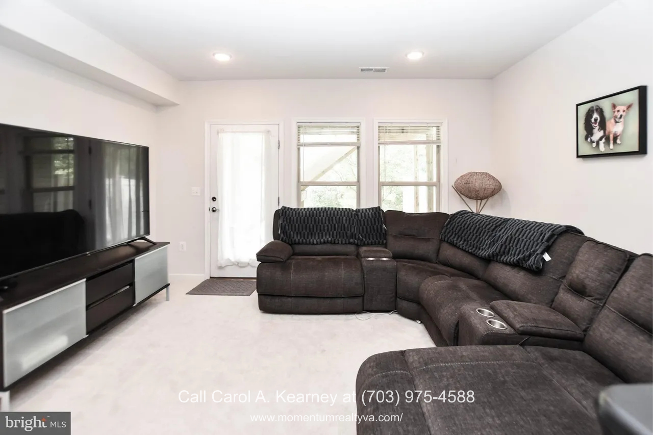 19873 Silvery Blue Ter, Ashburn, VA 20147 Lower-level living area at 19873 Silvery Blue Ter in Ashburn, VA, featuring a spacious family room with plush carpeting, large seating area, recessed lighting, and direct access to windows and a door overlooking wooded views in the Lexington 7 55+ community.