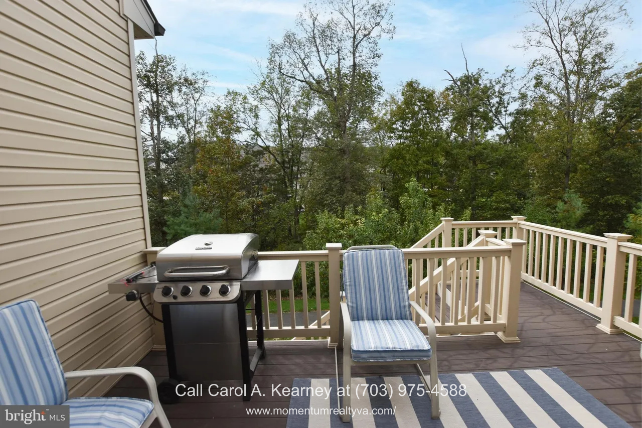 19873 Silvery Blue Ter, Ashburn, VA 20147 Main-level deck at 19873 Silvery Blue Ter in Ashburn, VA, featuring outdoor seating, grilling area, and stair access, with peaceful wooded views providing privacy and a relaxing outdoor setting in the Lexington 7 55+ community.
