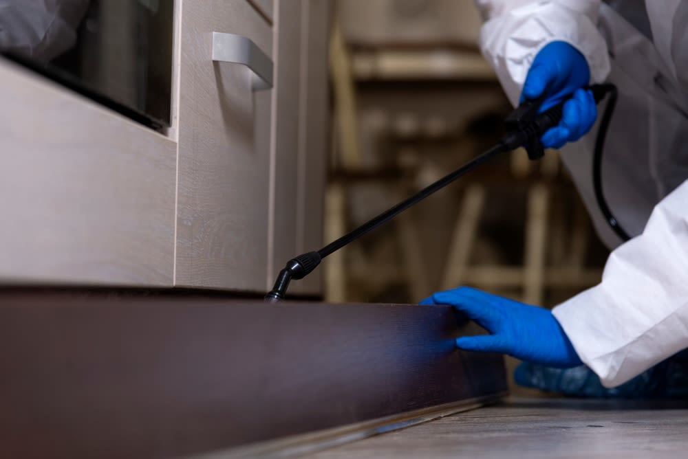 Pest-control Pest control