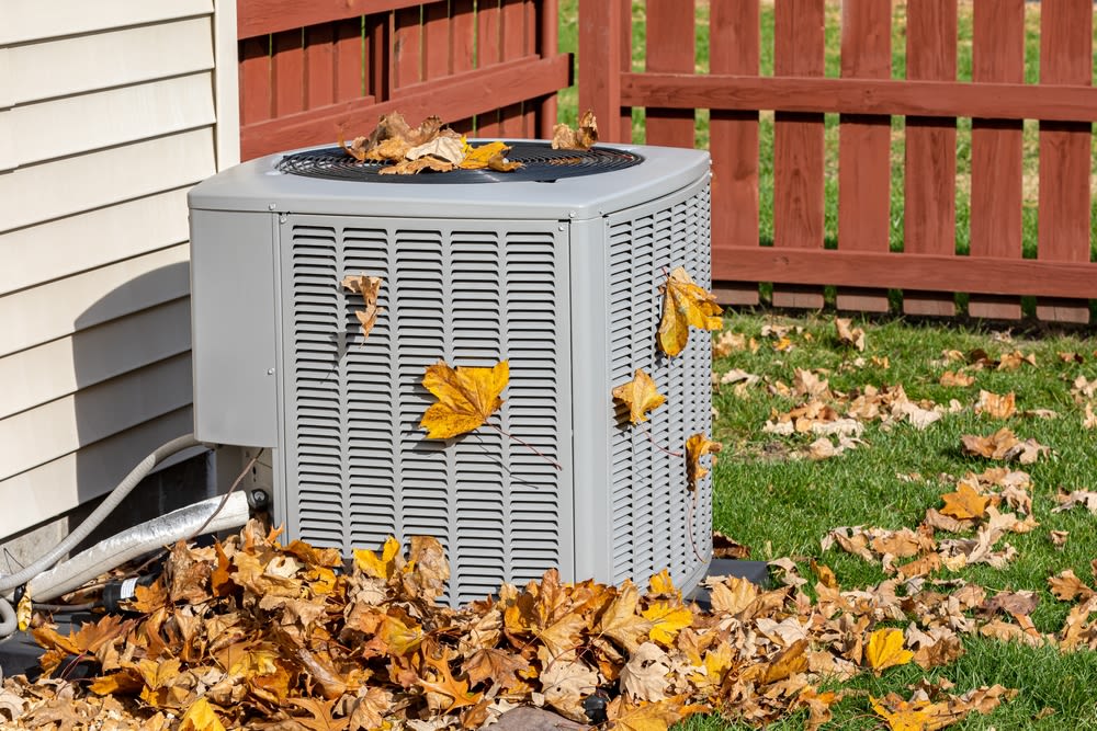 HVAC-in-the-back-yard HVAC in the back yard